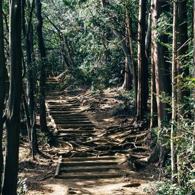爱游戏综合APP下载