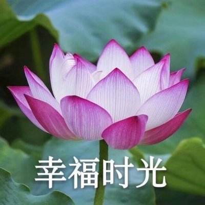 亚博体育(中国)官方网站下载手机版