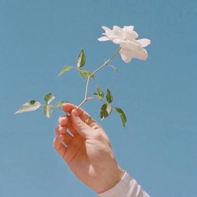 4949澳门免费资料大全app下载