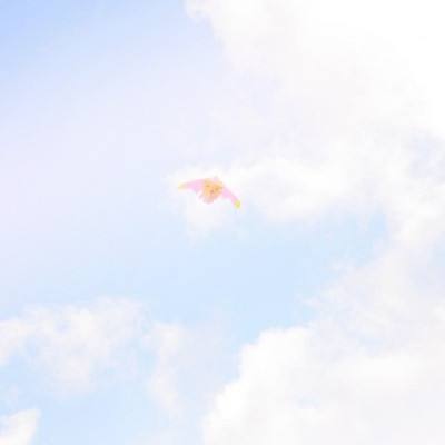 B体育·(sports)官方网站手机app下载