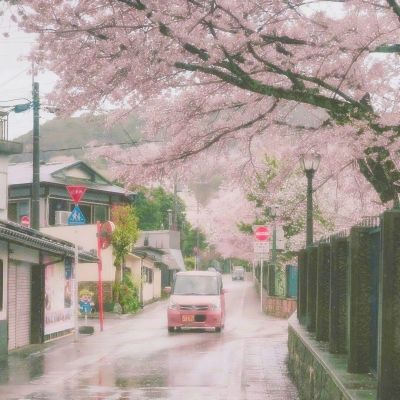 AOA体育下载手机版