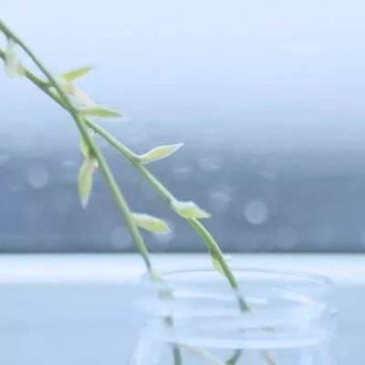 中欧体育·中国官方手机版